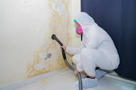 Best Asbestos and Lead Testing During Mold Inspection  in Collierville, TN